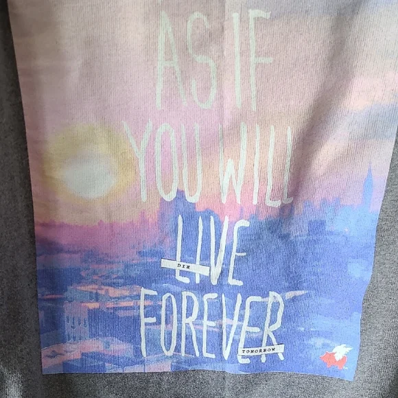 Glamour Kills Gray Crew Neck Sweatershirt Dream As If You Will Live Forever XL - Picture 4 of 10